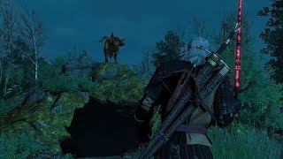 The Witcher 3  Contract  Velen  Phantom of the Trade Route [upl. by Arraek]