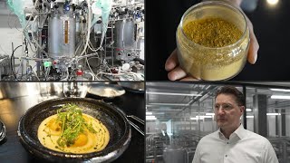 quotAgricultores del futuroquot en Finlandia crean proteína comestible con aire y electricidad  AFP [upl. by Gemina157]