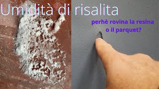 cosè lumidità di risalita e come risolvere [upl. by Akimrej]