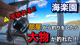 『部屋から釣りが出来る旅館』海楽園の歴史を塗り替える大物を釣り上げた！あの超有名YouTuberも釣りをした三重県鳥羽市海上料亭海楽園 [upl. by Norahc]