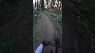 Manland red trail pov mtb downhill mountainbike poianabrasov [upl. by Plusch]