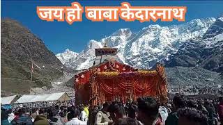 जय हो बाबा केदारनाथ  Kedarnath Temple Live  Kedarnath Dham Yatra  ॐ नमः शिवाय kedarnath [upl. by Ier773]