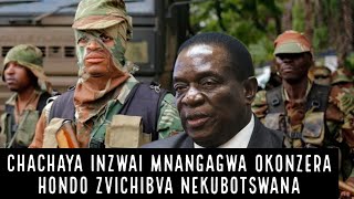 🟨Chachaya inzwai Mnangagwa Okonzera Hondo zvichibva neKuBotswana 🇿🇼👇 [upl. by Singleton685]