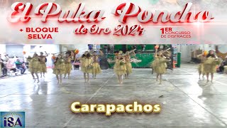 LOS CARAPACHOS  JACU FOLK  CONCURSO MUSUQ YAWAR 2024  PRODUCCIONES ISA [upl. by Aliuqaj]