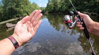 Creek Fishing with Inline Spinners for ANYTHING that Bites [upl. by Demetra]