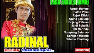 LAGU JAMBI  RADINAL  FITRI  WULAN  Official Music JM Management [upl. by Bendicty]