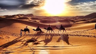 ZAGORA DESERT TRIP IN MOROCCO 🇲🇦 الغزالة زاݣورة المغرب [upl. by Benedick]