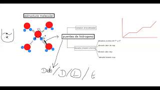 Agua  estructura molecular y propiedades de los puentes de hidrógeno [upl. by Conall101]