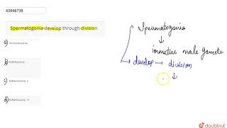 Spermatogonia develop through division [upl. by Eetsirhc]