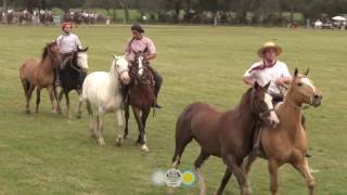 Jineteada 57° FIESTA PROVINCIAL DE LAS LLANURAS [upl. by Collayer755]