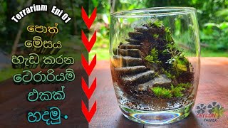 How i made this Terrarium  DIY easy way Terrarium epi 1 [upl. by Vivi]