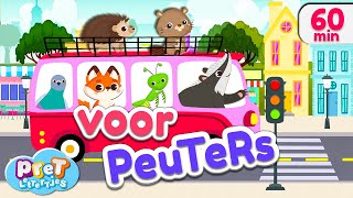 Voertuigen Dierengeluiden Boerderijdieren amp meer Pretlettertjes Kinderfilmpjes [upl. by Pacificia734]