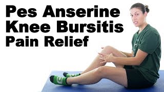 Pes Anserine Knee Bursitis Stretches amp Exercises  Ask Doctor Jo [upl. by Eimmis]