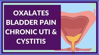 How Oxalates Can Cause Chronic UTI Interstitial Cystitis amp Bladder Irritation [upl. by Nit523]