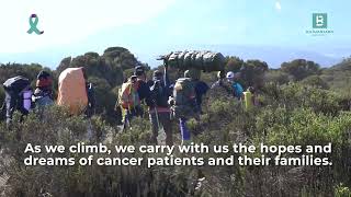 Against Cancer – Charity Kilimanjaro Climb with Kilimanjaro Brothers [upl. by Yblehs991]