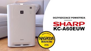 Inteligentny oczyszczacz powietrza z funkcją nawilżenia Sharp KCA50EUW [upl. by Odla]