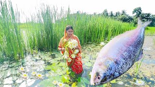 15 kg পদ্মার ইলিশ মাছ কেটে দুই ধরণের রান্না করলাম সাথে ইলিশমাছের মাথা দিয়ে শাপলা রেসিপিfish curry [upl. by Theran]