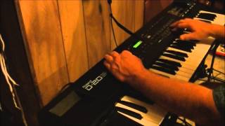 Roland D 20 Demo And Basic Review [upl. by Fionna63]