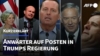 Kurz erklärt Das sind die Anwärter auf Posten in Trumps Regierung  AFP [upl. by Kattie165]