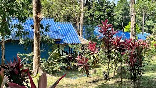 Île Koh Phayam dernière journée Thaïlande [upl. by Inahc]