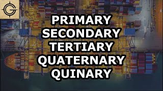 5 Economic Sectors  Primary Secondary Tertiary Quaternary amp Quinary [upl. by Yelra]