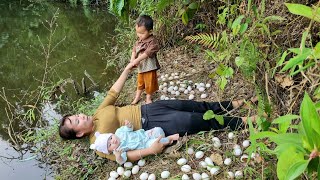 Harvesting eggs to sell at the market  taking care of children  Build a new life [upl. by Gris]