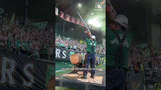 The journey of a Timbers victory log from sapling to celebration [upl. by Hsilgne]