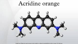 Acridine orange [upl. by Sirtaeb]