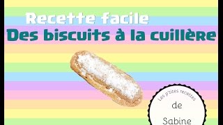 🤗 Recette facile des biscuits à la cuillère en 30 minutes [upl. by Luoar590]