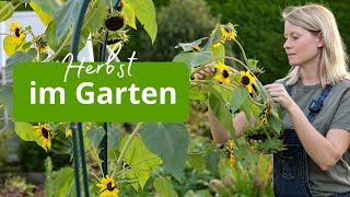 Gartentag im Herbst 🍂 Arbeiten in den Beeten und Vorbereitungen für den Winter  Gundermann [upl. by Omrellig]