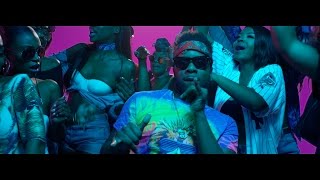 Maleek Berry  Eko Miami ft Geko Official Video [upl. by Naelcm443]