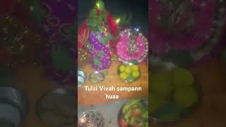 Devudhni ekadashi me Tulsi Vivah sampann huaa hai song love music [upl. by Song]