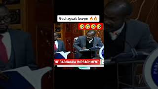 Lawyer ogola on it again kenyatanzania burundi uganda stevosimpleboy [upl. by Ylremik]