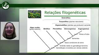 Aula 1 Fundamentos da Morfologia Vegetal mp4 [upl. by Obediah661]