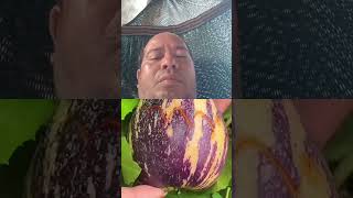 fruit naturallifeb satisfying naturalclips naturelife fruitcutting foodplants garden [upl. by Darra]