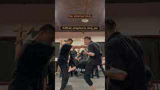 Wing Chun Footwork Exploring the Three Types of Kicks  Master Tu Tengyao [upl. by Oicangi]