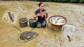 Process Harvesting Fish amp snails in farm  Grilled fish  Cooking  Puppy [upl. by Ahsiuqram245]