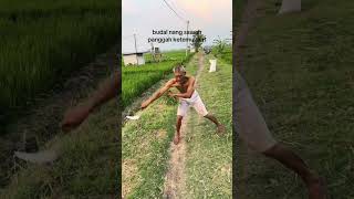 Budal nang sawah panggah ketemu silat shorts psht [upl. by Sucerdor]