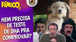 KARNAL EXPLICA SE EMÍLIO BANCOU O PAI DE PET TENTANDO REEDUCAR RATINHO DE MORGADO [upl. by Tremain]