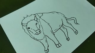 bison  bison draw  how to draw a bison  simple bison drawing  bison picture  Hari Arts chutti [upl. by Assirt409]