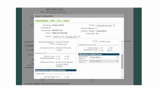 WPPSI IV Interpretive Reports Presentation [upl. by Reis]