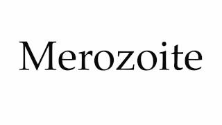 How to Pronounce Merozoite [upl. by Olemrac]