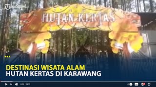 Destinasi Wisata Alam Hutan Kertas di Karawang [upl. by Atekram]