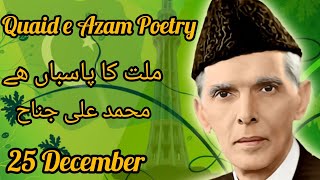 25 December Quaid e Azam Day ⭐🌟✨Quaid e Azam BirthdayQuaid e Azam Poetry StatusDeep Lines Poetry [upl. by Bradway263]