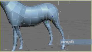 Wrapit Quick Horse Retopology [upl. by Yvehc]