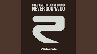 Never Gonna Do feat Romina Johnson Dick Carter Radio Edit Extended [upl. by Imekawulo]