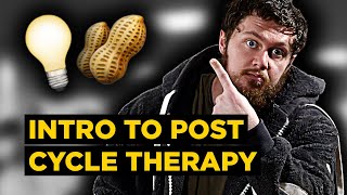 The BASICS of Post Cycle Therapy and OnCycle Support for BEGINNERS How to KEEP the Lights ON 💡🥜 [upl. by Stormie657]