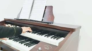 Brilha mais e mais 💖🎶 Órgão Tokai T1 Spinet 🎹 [upl. by Wolfie724]