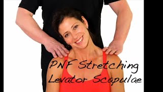 PNF Stretching  Levator Scapulae Muscle  Ask Dr Abelson [upl. by Maybelle]