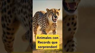 Récords Asombrosos del Reino Animal 🐾 [upl. by Merrile521]